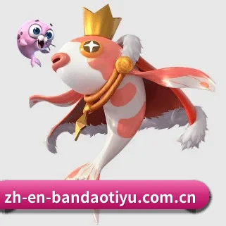 半岛体育 APP(Bandao Sports)